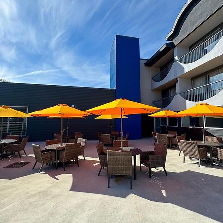 Comfort Suites Kingston Central Exterior foto